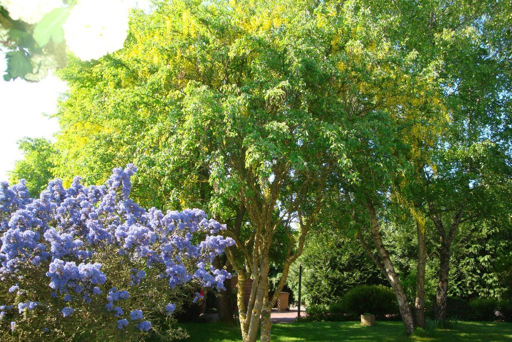 Bed and Breakfast Au Jardin D'Eloise Tremereuc Exterior foto
